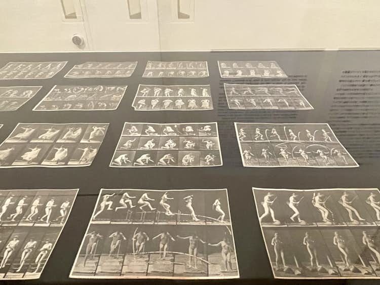 フランシス ベーコンの制作過程に迫るコレクション バリー ジュール コレクション が日本で初公開 画像ギャラリー 10 16 美術手帖