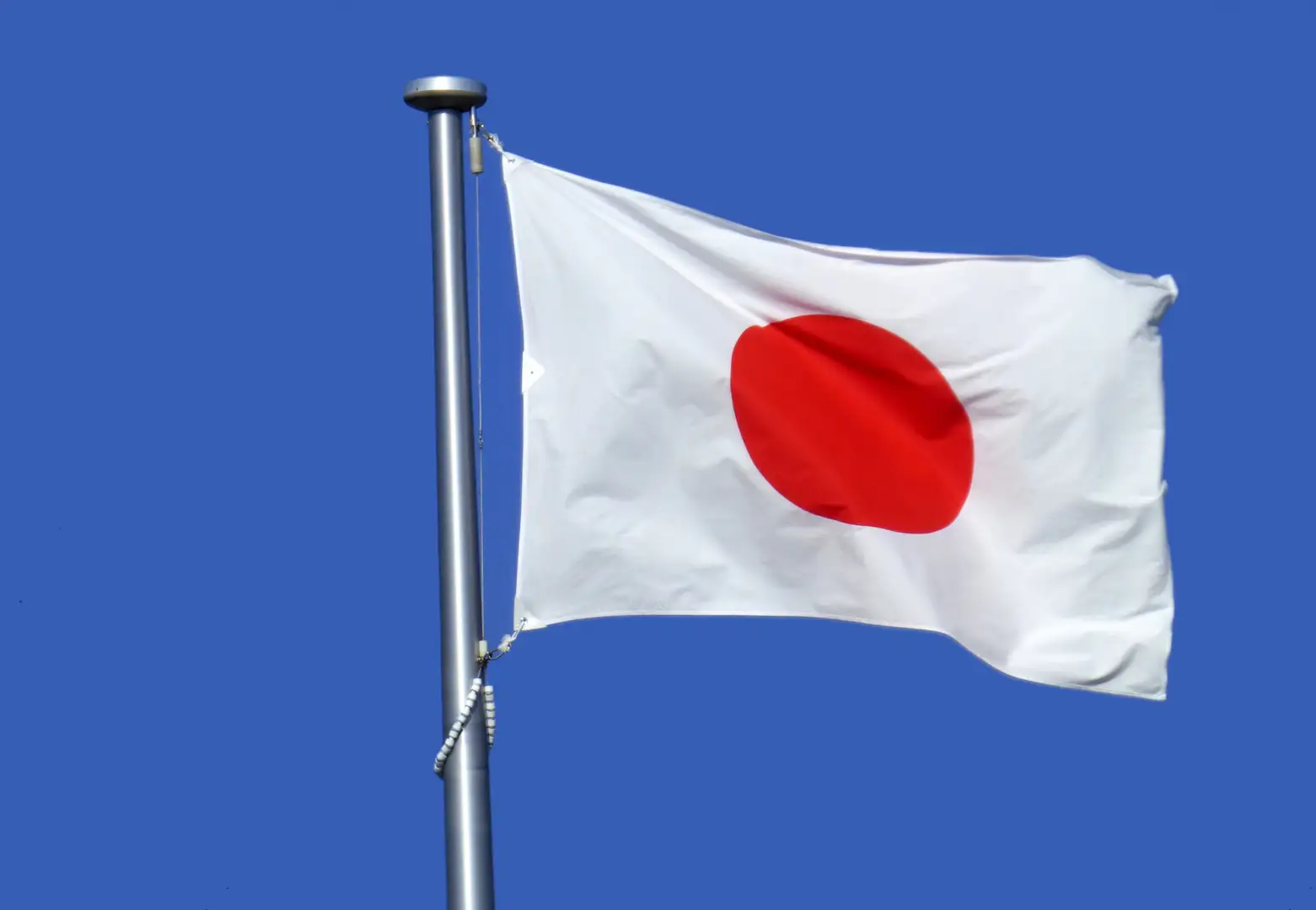 自民党有志が新設目指す 国旗損壊罪 は表現の自由を脅かすか 憲法学者が解説 美術手帖