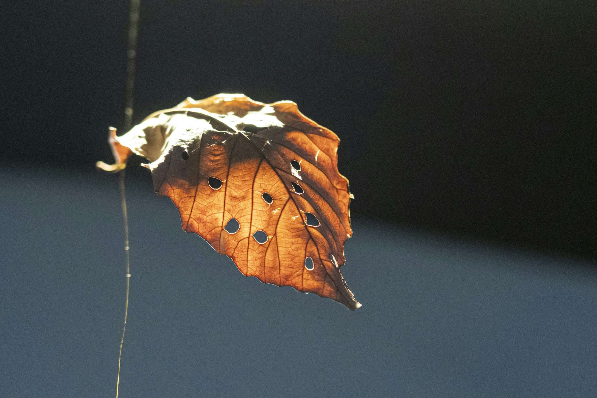 コロナ禍の前から変わらないものとは 荒井保洋評 日日の観察者 展 画像ギャラリー 9 9 美術手帖