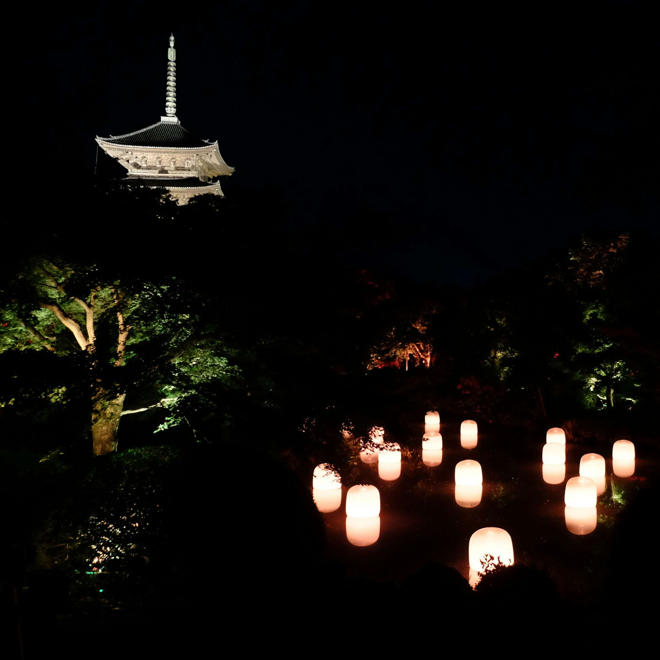 京都 東寺を舞台に チームラボ 東寺 光の祭 Tokioインカラミ が開幕 音と光で世界遺産がアートスポットに 美術手帖