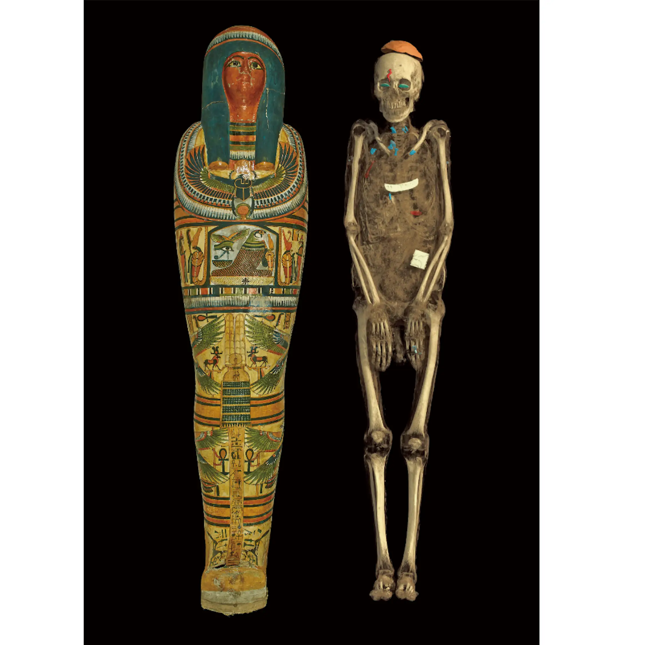 CTスキャンされたミイラを国立科学博物館で見る。特別展「大英博物館ミイラ展 古代エジプト6つの物語」が開催|美術手帖