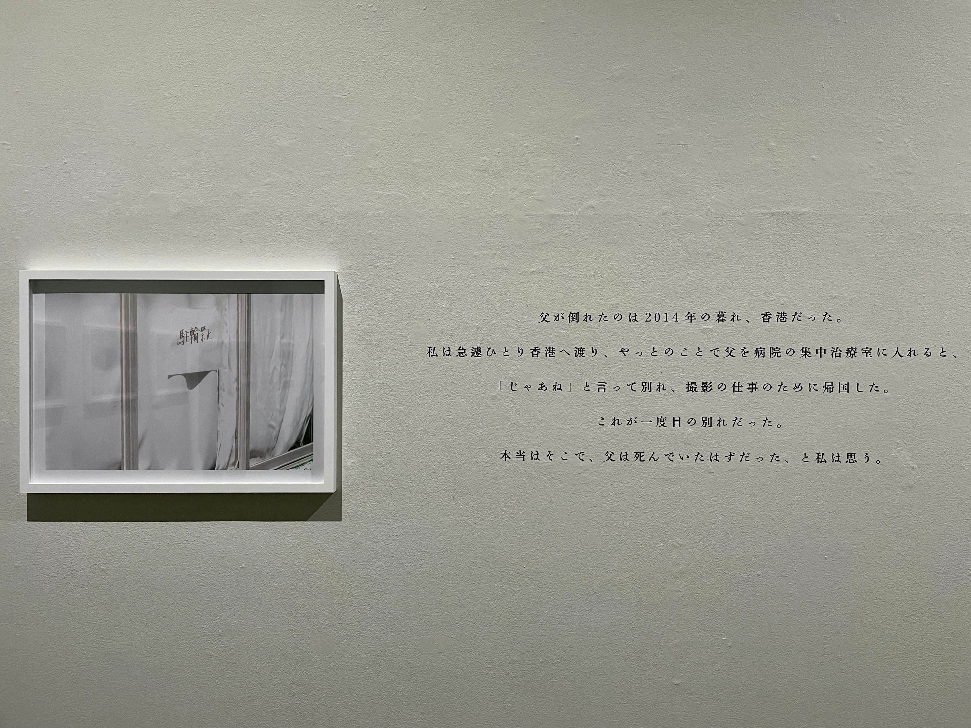 蜷川実花の世界に没入する 虚構と現実の間に が上野の森美術館で開幕 美術手帖