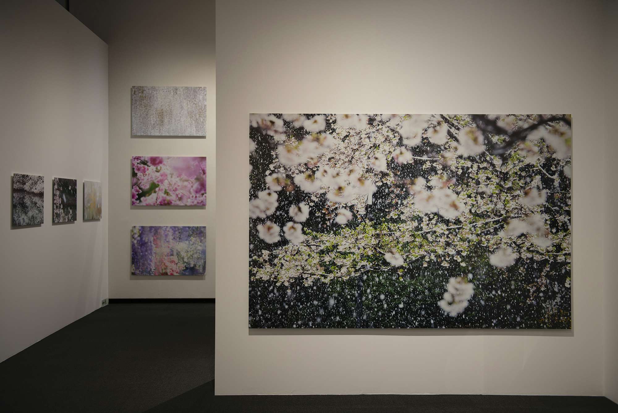 写真を撮る理由は そこに漂う一瞬の儚さを大事にしたいから 蜷川実花インタビュー 画像ギャラリー 4 17 美術手帖 写真を撮る理由は そこに漂う一瞬の儚さを大事にしたいから 蜷川実花インタビュー 画像ギャラリー 4 17 美術手帖