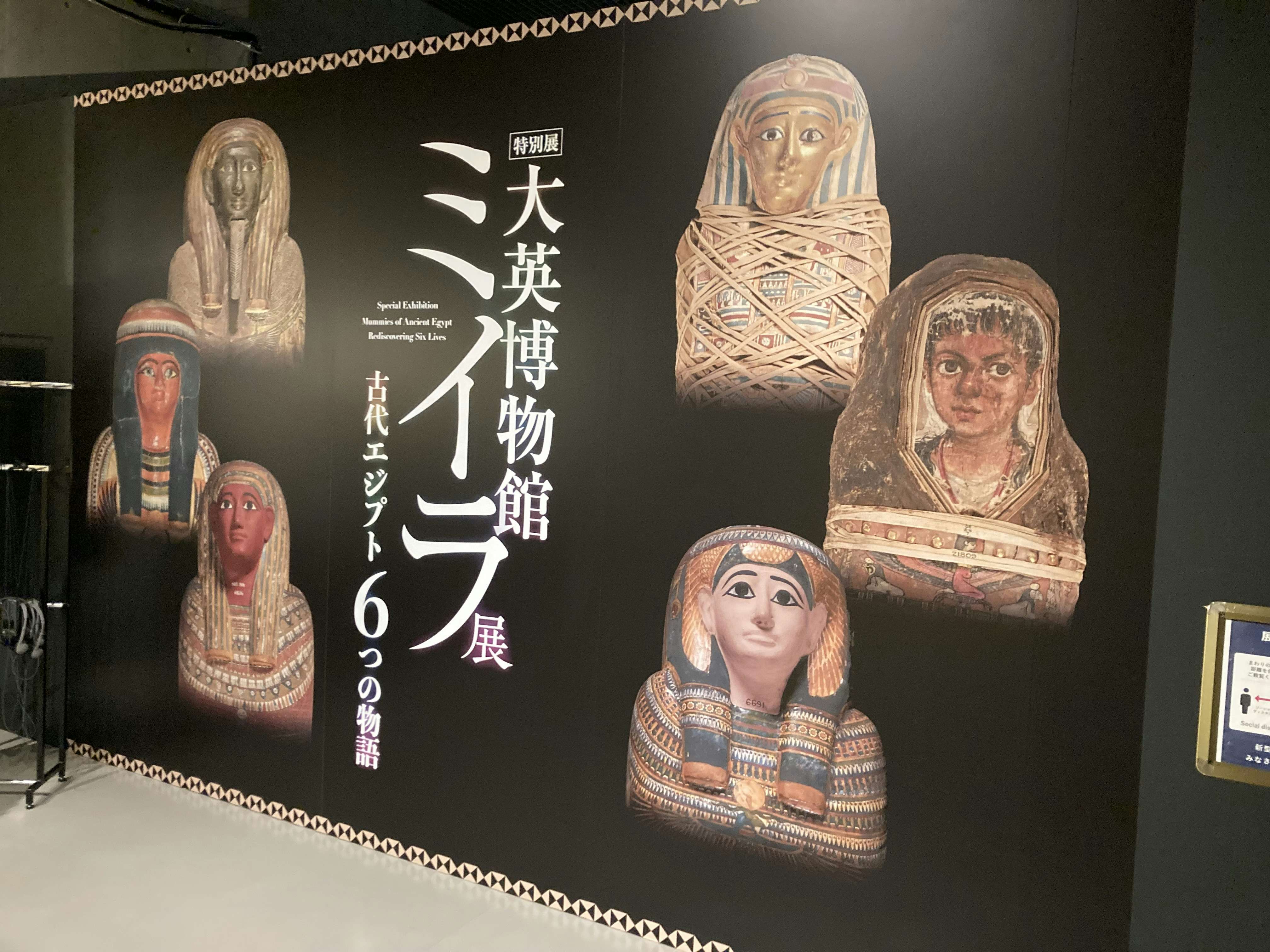 6体のミイラをctスキャンで解析 古代エジプト人の生き様を知る 大英博物館ミイラ展 古代エジプト6つの物語 が開幕 画像ギャラリー 2 35 美術手帖