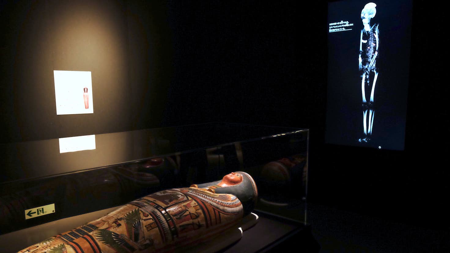 6体のミイラをctスキャンで解析 古代エジプト人の生き様を知る 大英博物館ミイラ展 古代エジプト6つの物語 が開幕 美術手帖