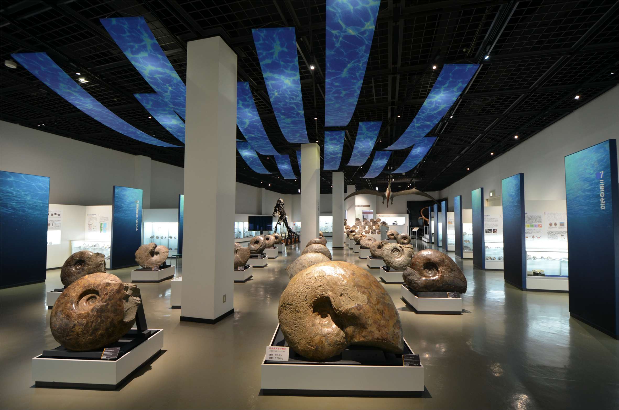 ポケモンと現実の二重性が再発見させるミュージアムの姿 長谷川新評 ポケモン化石博物館 画像ギャラリー 4 5 美術手帖 ポケモンと現実の二重性が再発見させるミュージアムの姿 長谷川新評 ポケモン化石博物館 画像ギャラリー 4 5 美術手帖