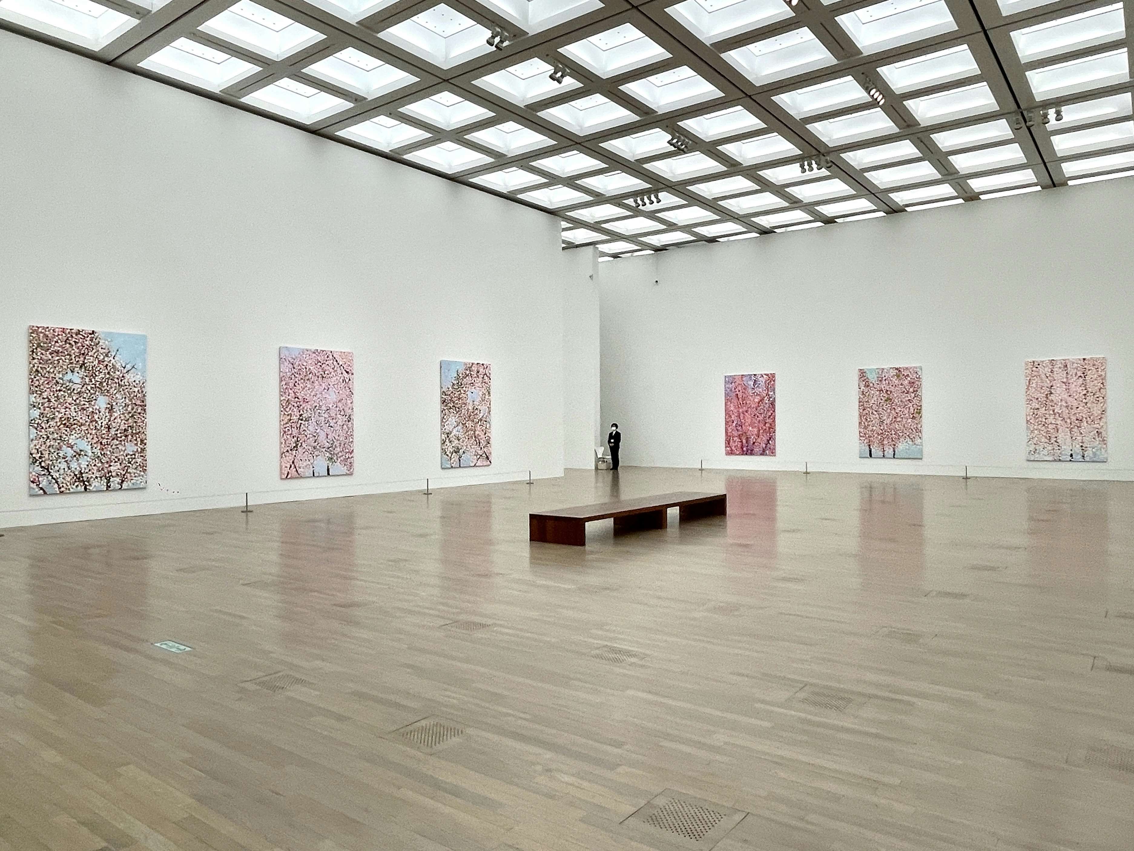 国立新美術館で「桜」の風景に入り込む。ダミアン・ハーストの日本初大 