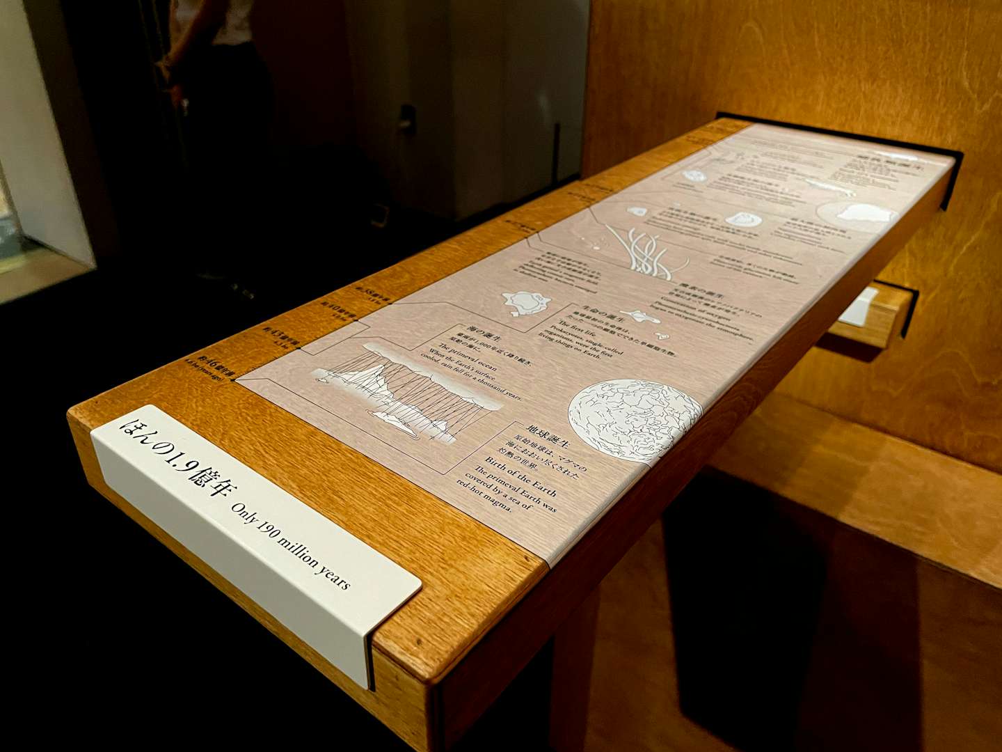 声なき剥製がつたえる生物学 Who Are We 観察と発見の生物学 が上野の国立科学博物館で開催中 美術手帖