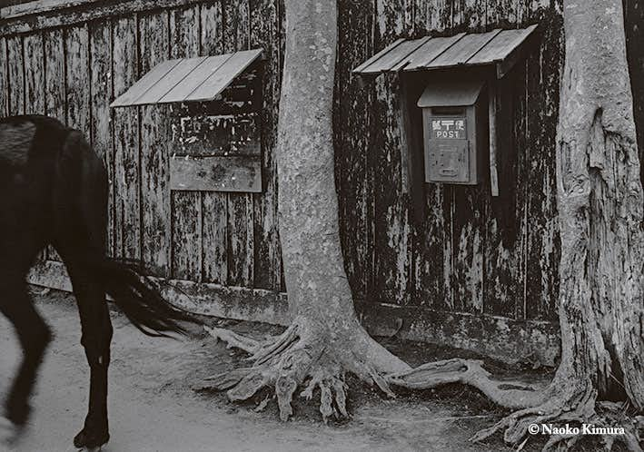 東京都写真美術館で「没後50年 木村伊兵衛 写真に生きる」が開催へ