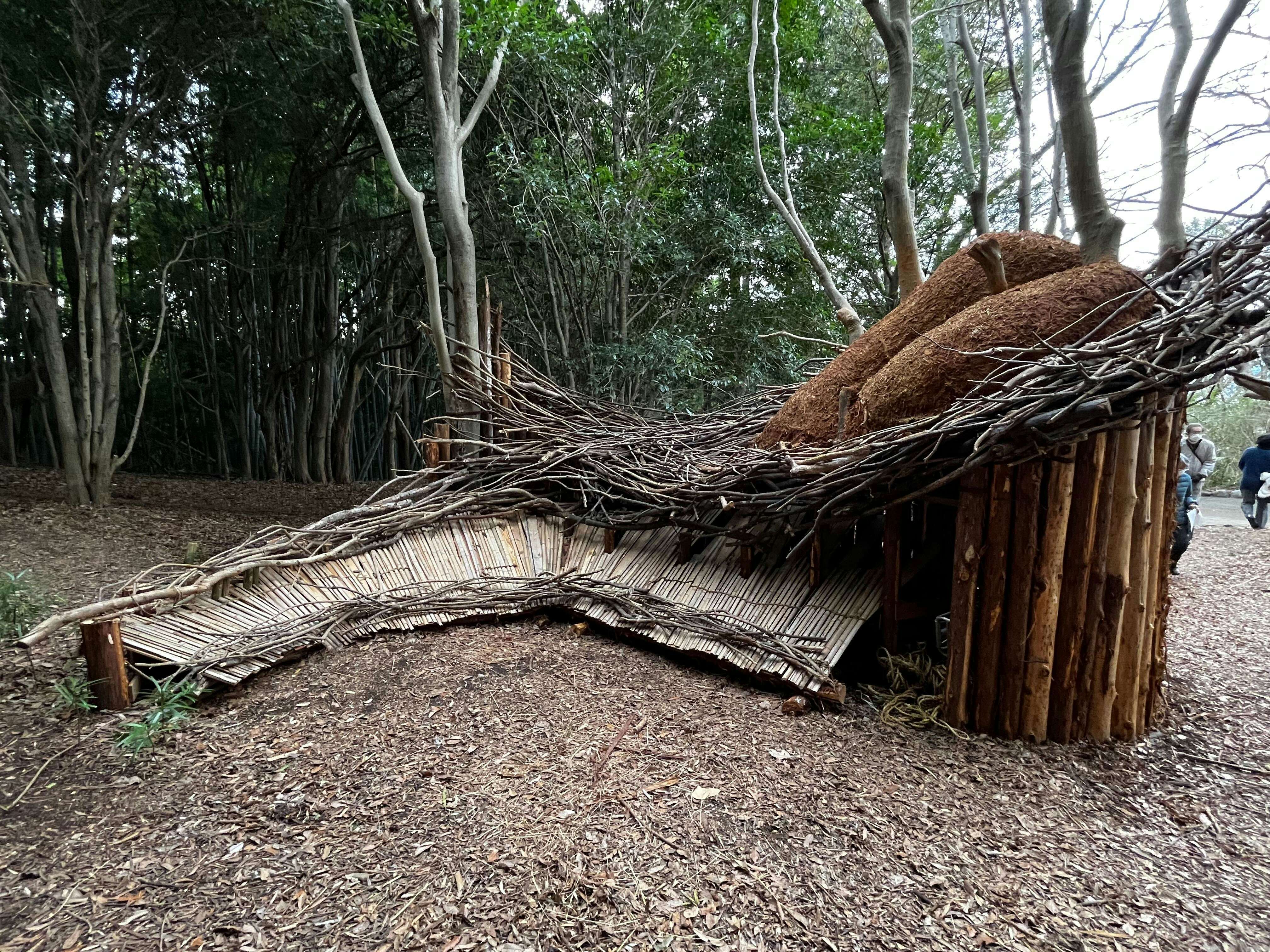 静岡県立美術館で「天地耕作」展が開幕。芸術の初源への道のりをたどる｜美術手帖