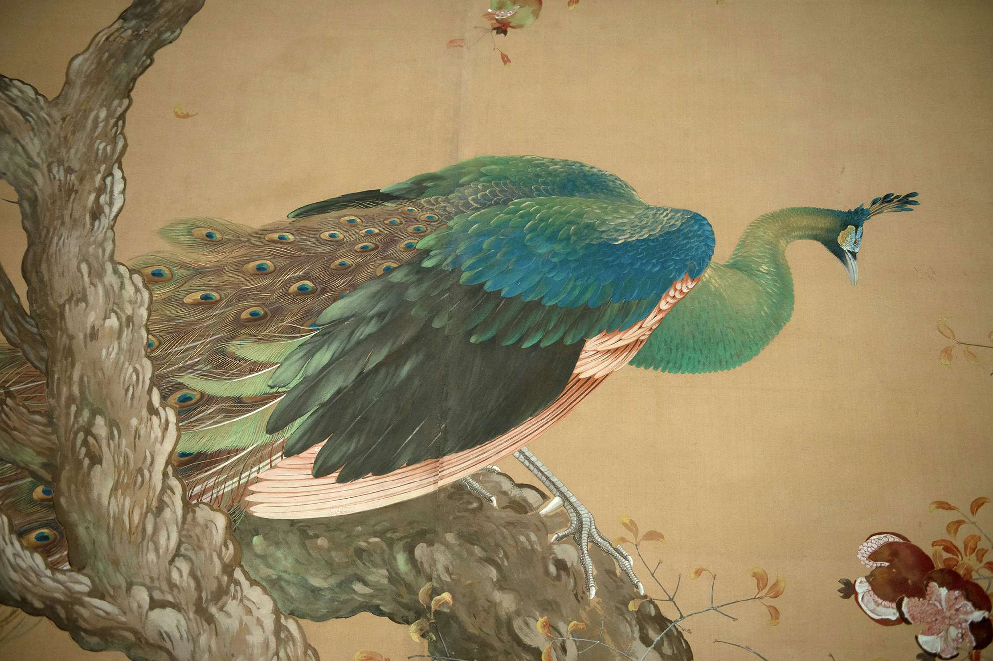 軍派遣池上秀畝 日本画 肉筆 花鳥 繊細 細密 旧家より 花鳥、鳥獣