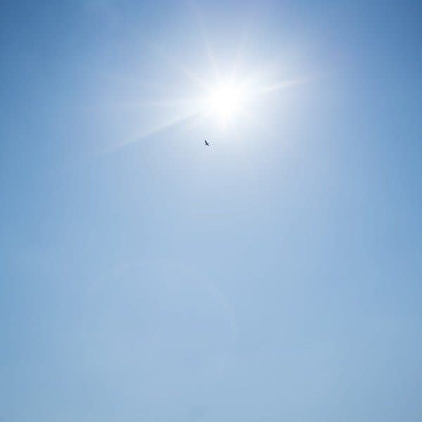 ミヤギフトシ連載07 津島佑子の遺作から 歌という渡り鳥 美術手帖 ミヤギフトシ連載07 津島佑子の遺作から 歌という渡り鳥 美術手帖