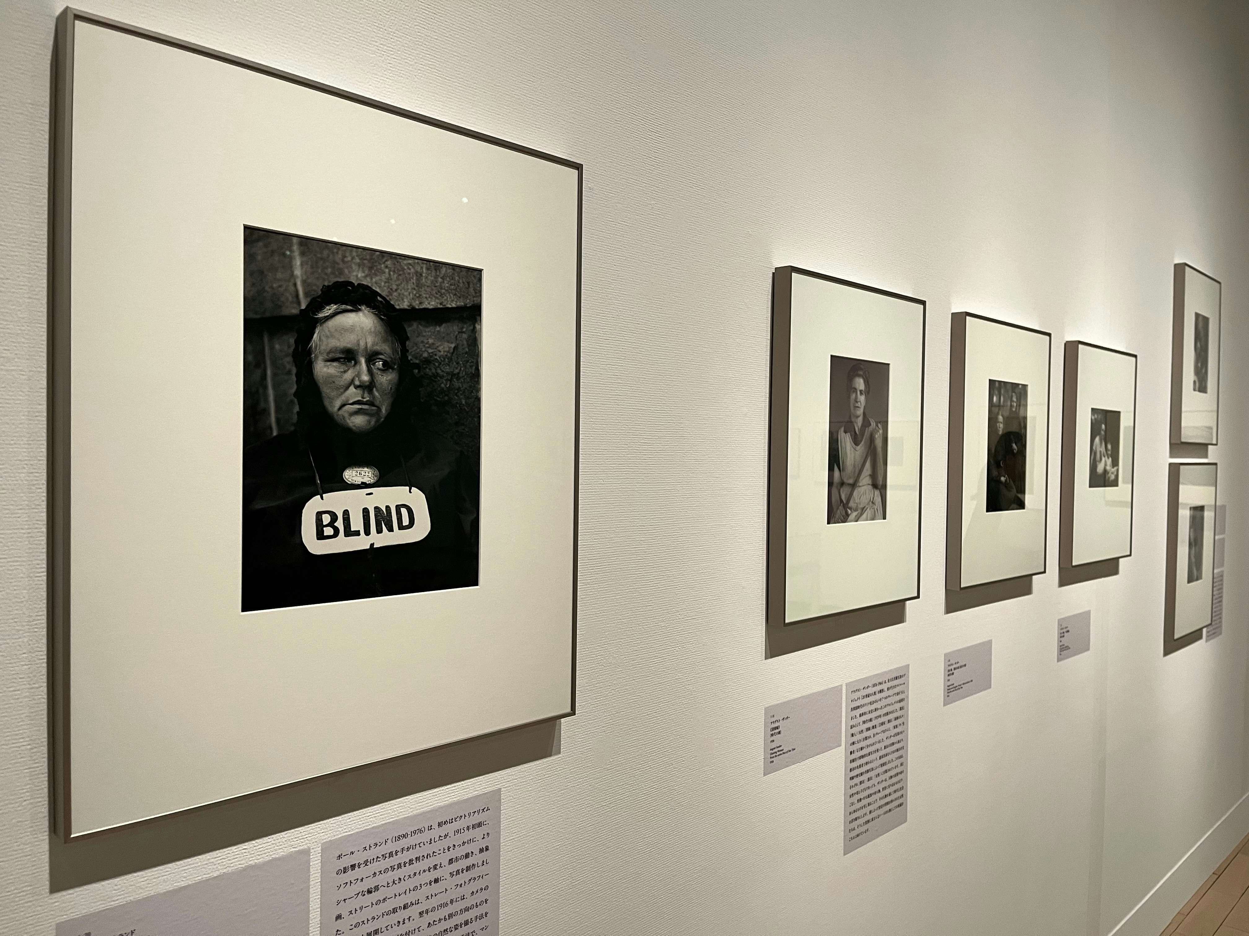 期待される若手写真家20人展 (1989年パルコ・ギャラリー) パンフレット 総合開館30周年記念 TOPコレクション 不易流行」（東京都写真
