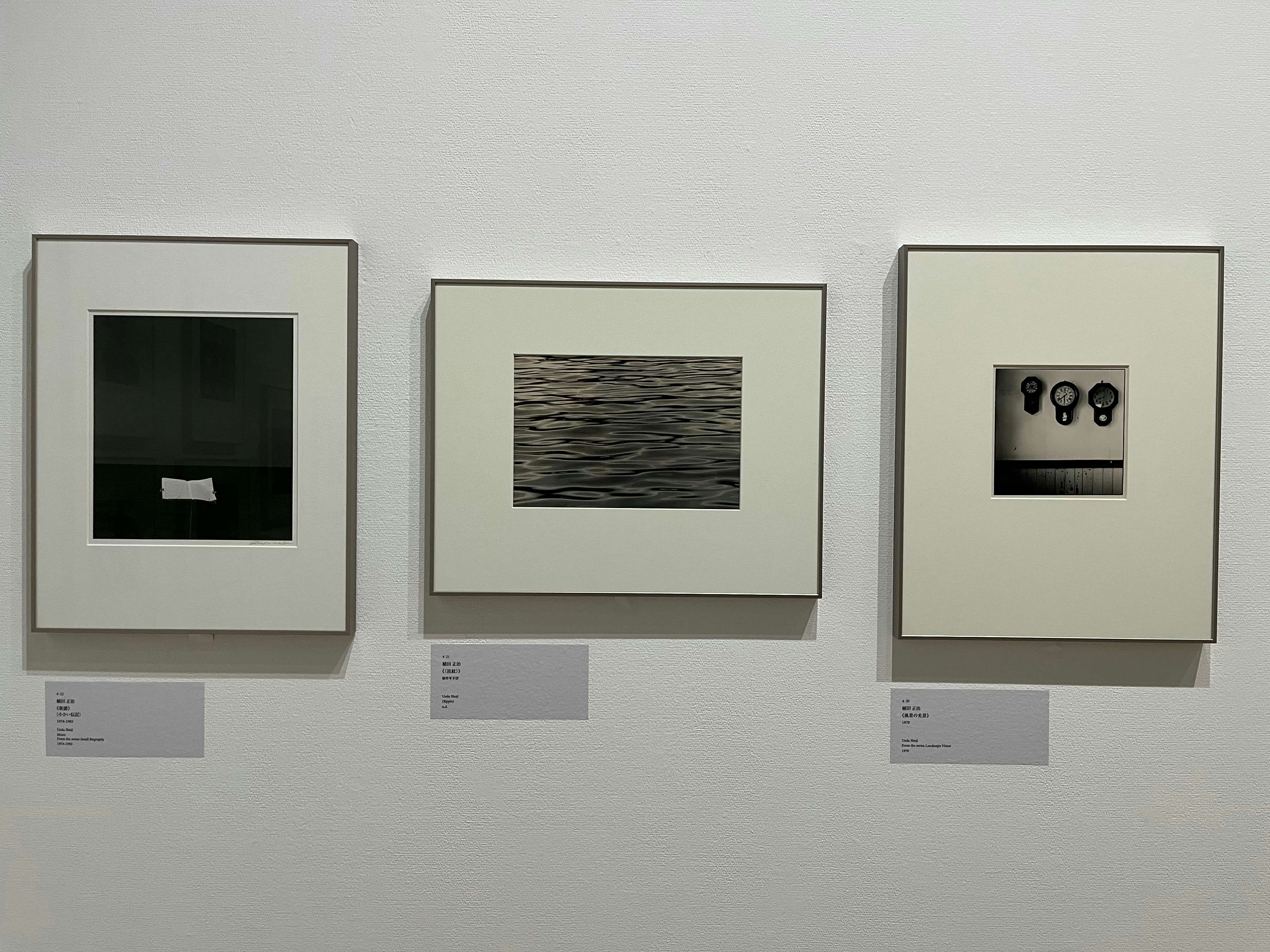 総合開館30周年記念 TOPコレクション 不易流行」（東京都写真