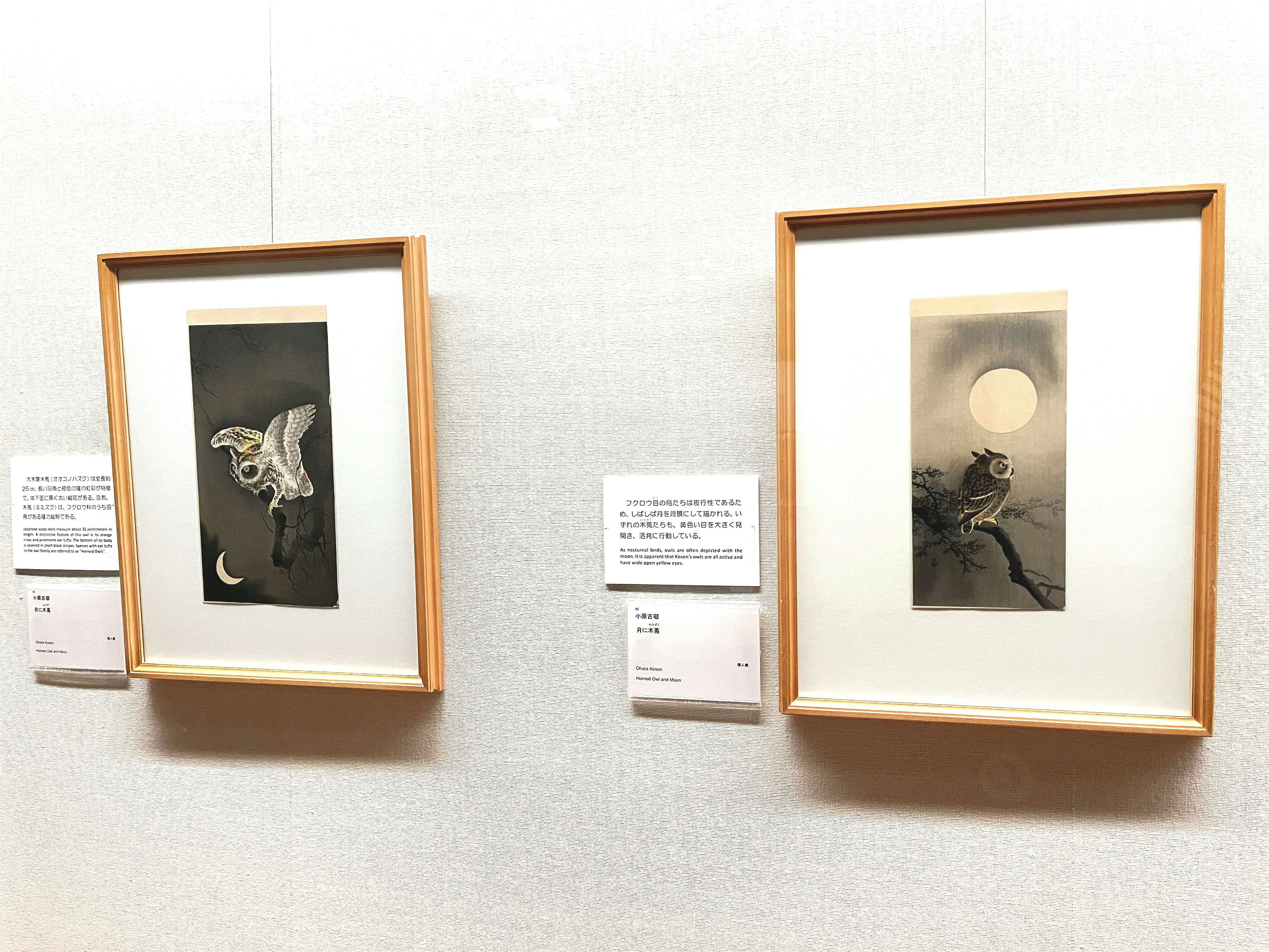 花鳥画譜 浅井応翠画 明治12年 小林吉五郎刊 木版画 美術 絵画
