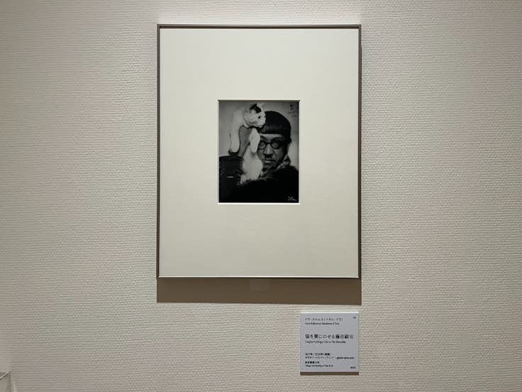 藤田嗣治、【エミリー・クレイン・シャドボーンの肖像（部分）】 藤田嗣治、【エミリー・クレイン・シャドボーンの肖像（部分）】