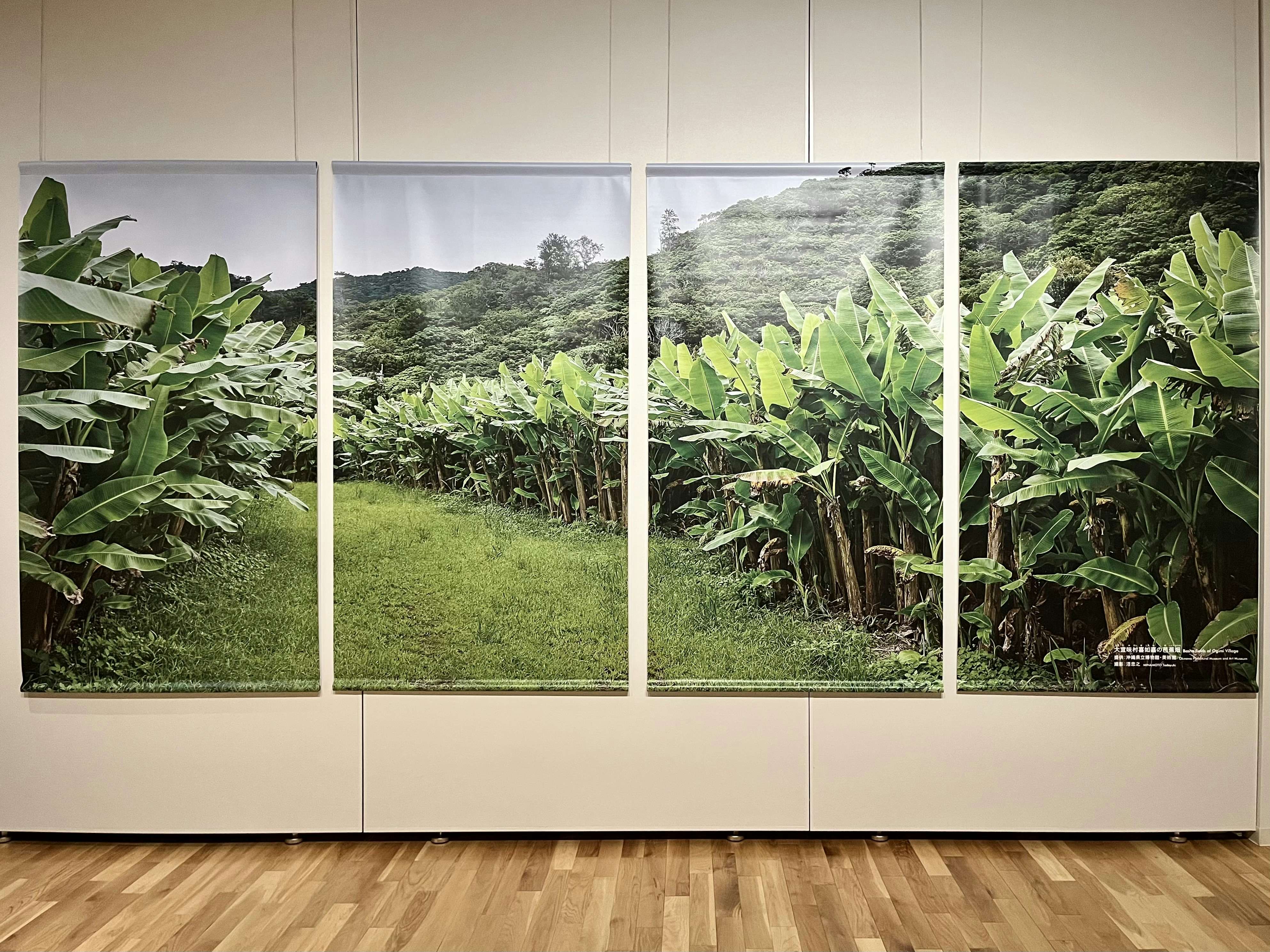 喜如嘉の芭蕉布展」（国立工芸館）開幕レポート。沖縄の織物
