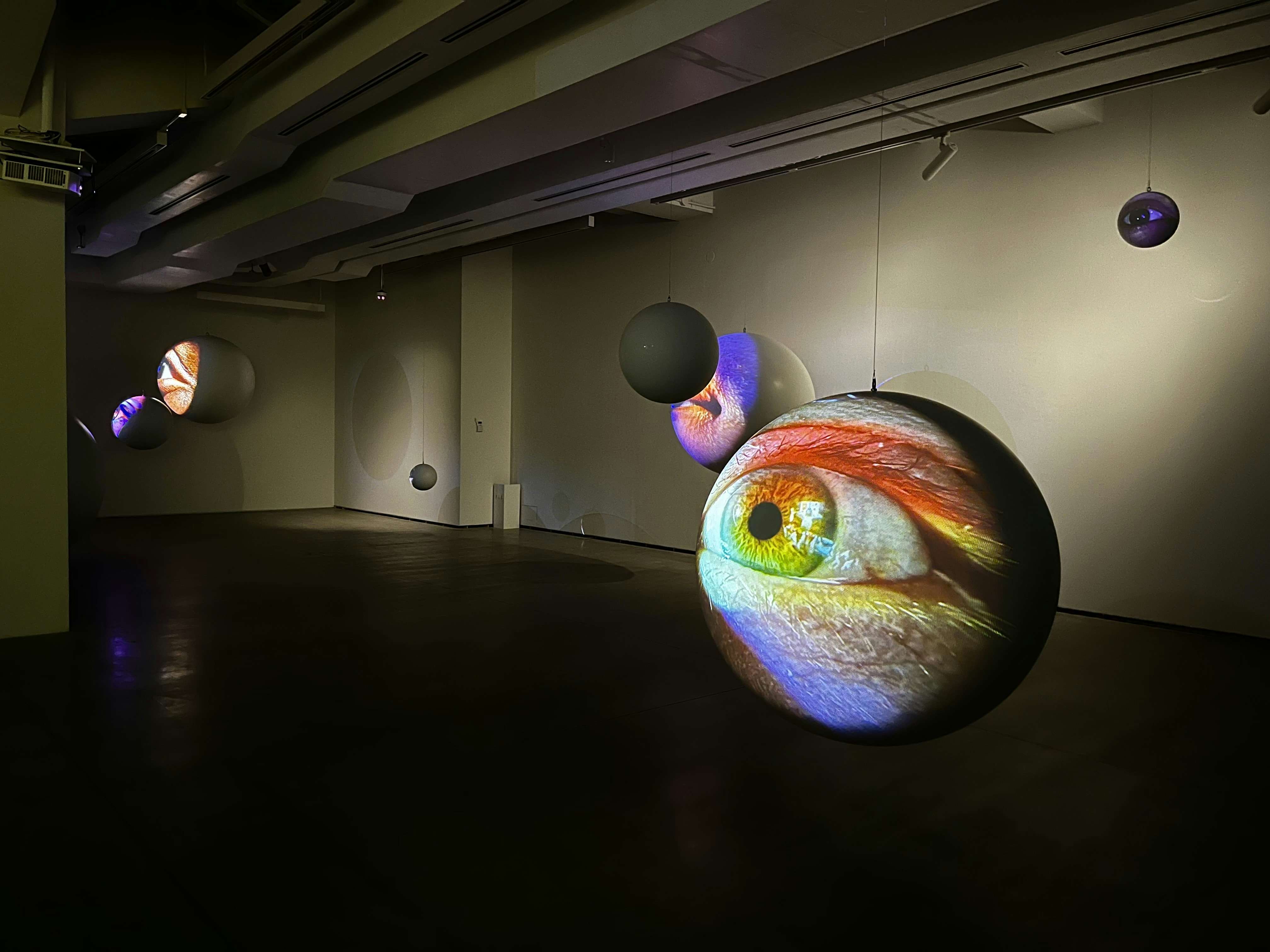 ダミアン・ハースト「スポット・ペインティング」を分離、別作品