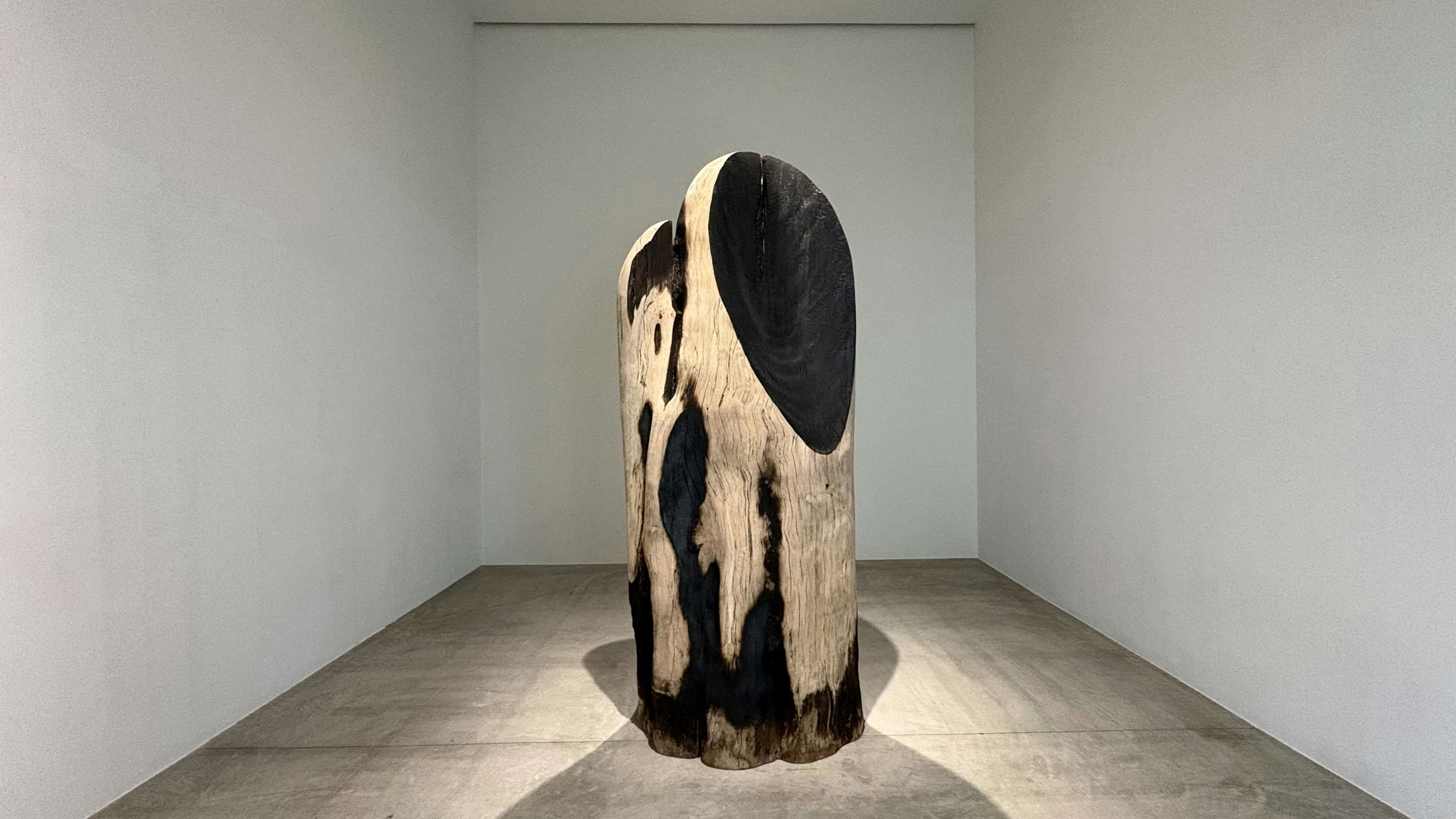 ポーラ美術館が新収蔵したフェリックス・ ゴンザレス= トレス