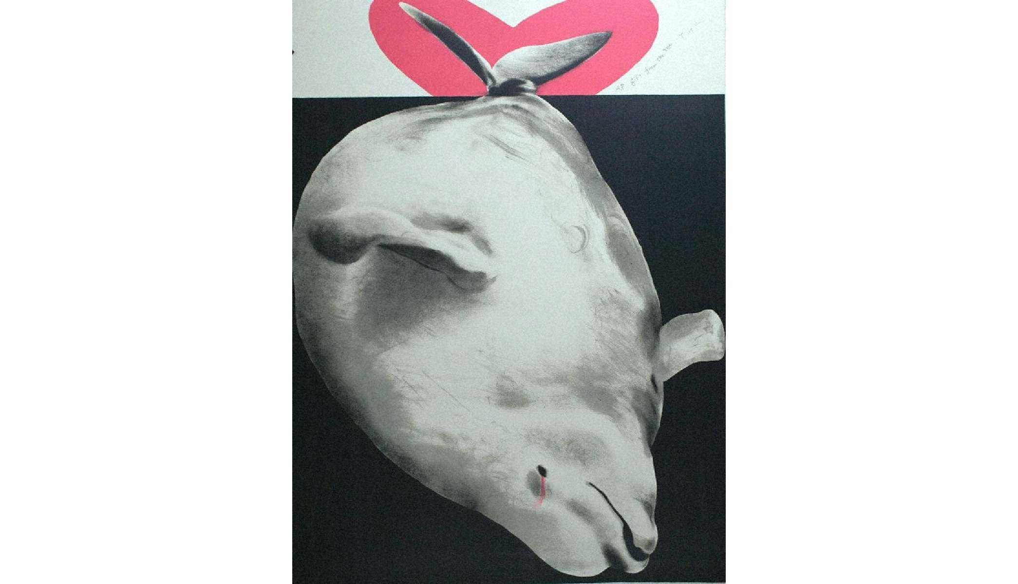 希少　美品　サイン付き　春の運命 野村佐紀子　限定850部 希少 美品 サイン付き 春の運命 野村佐紀子 限定850部