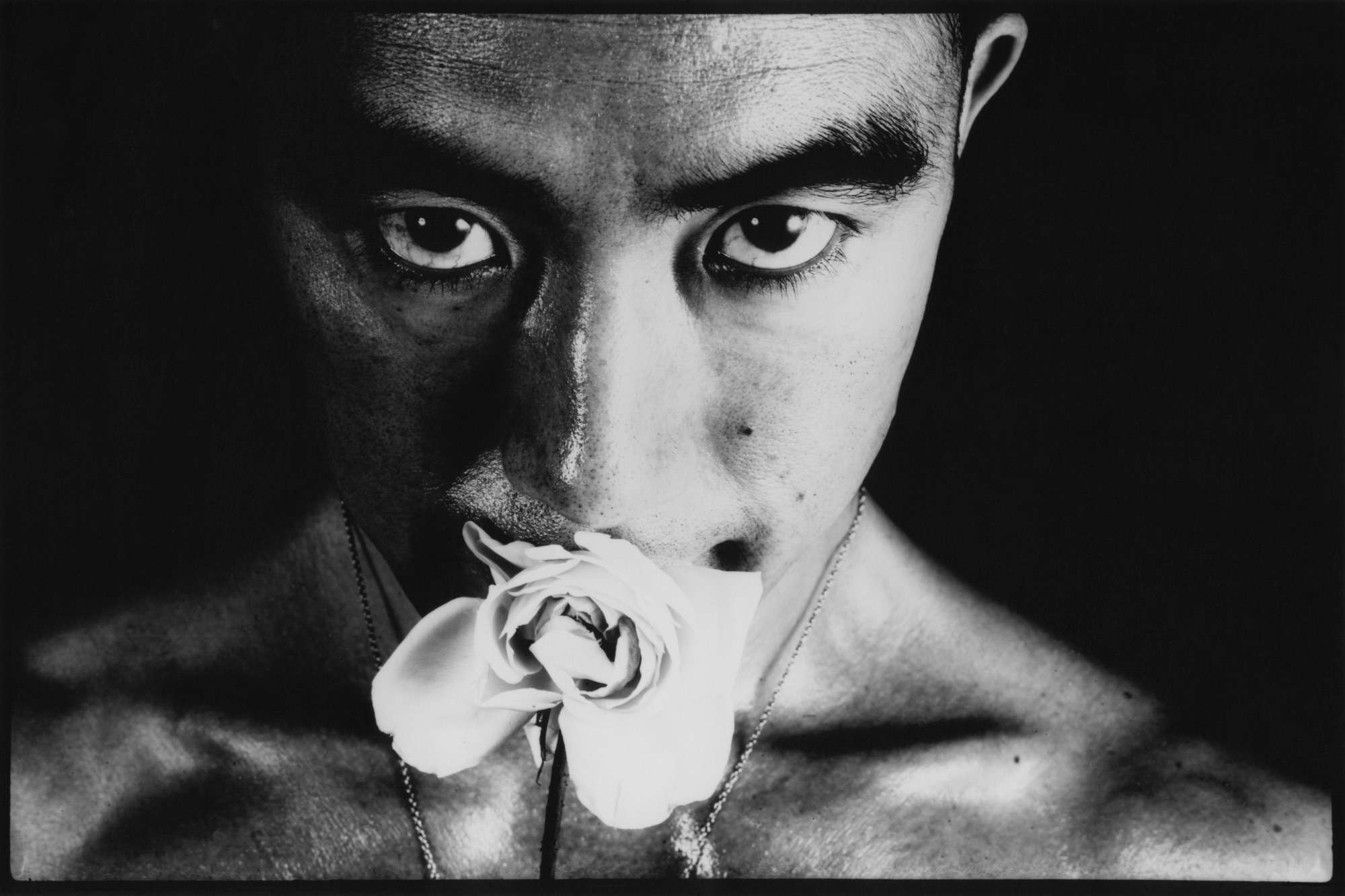ゾフィー・トイバー=アルプとジャン・アルプ」（アーティゾン美術館