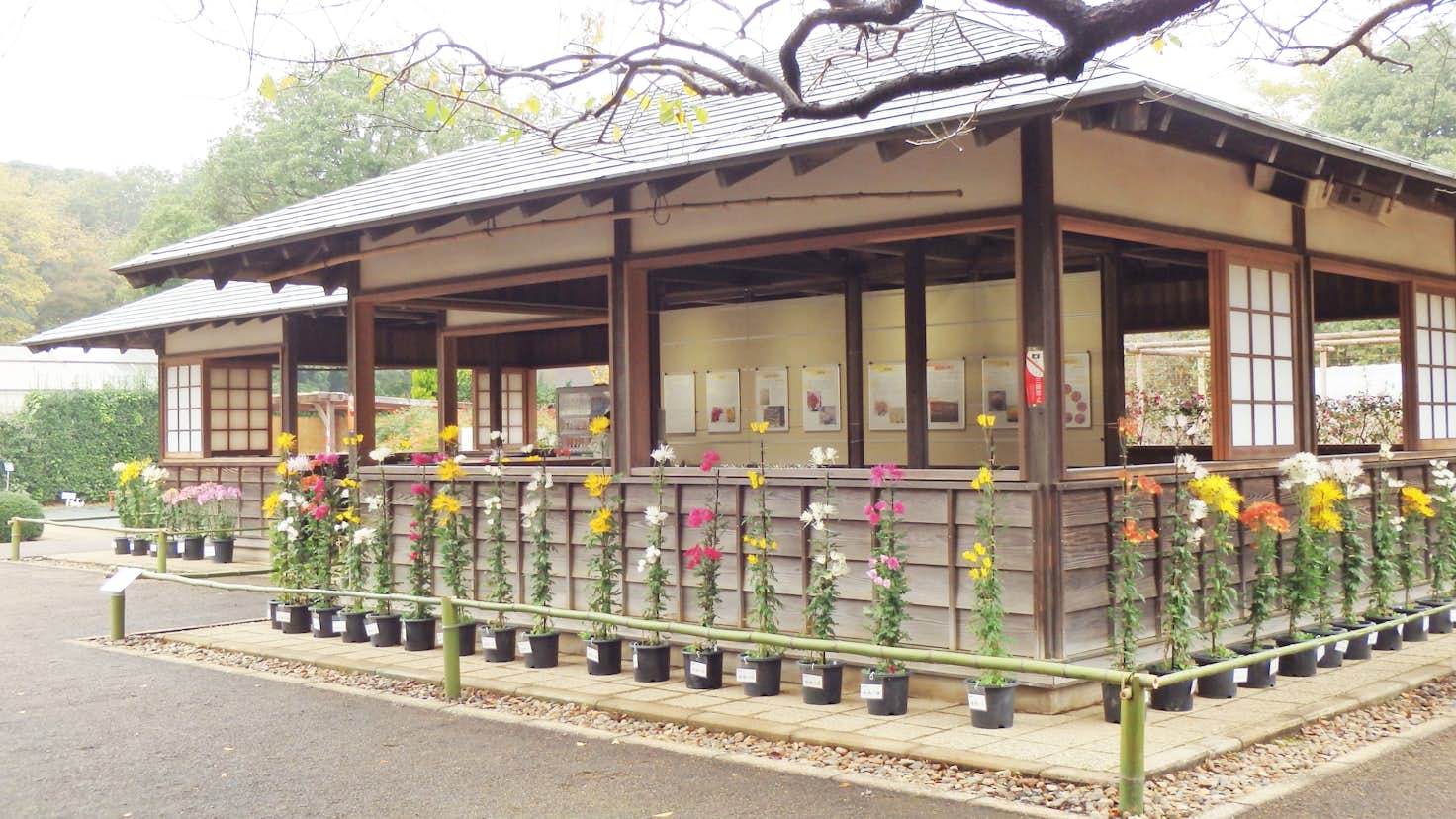 国立歴史民俗博物館 美術手帖