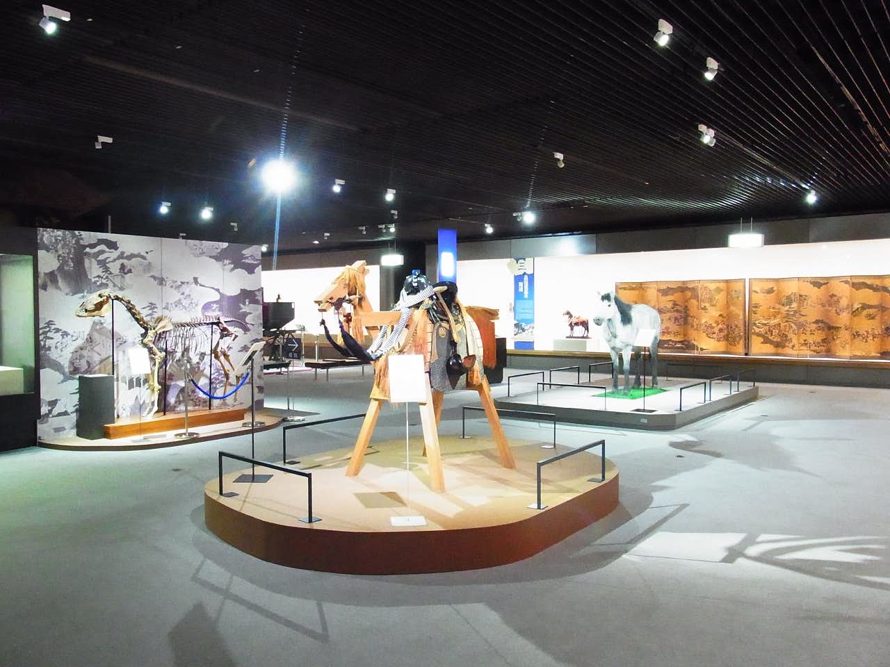 【美品】The museum of the horse  本　馬の博物館 美品】The museum of the horse 本 馬の博物館