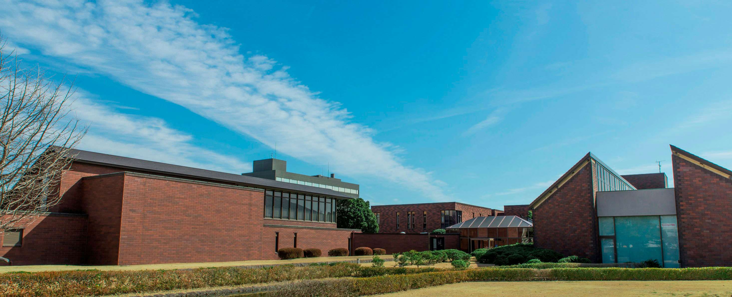 千葉県立美術館｜美術手帖