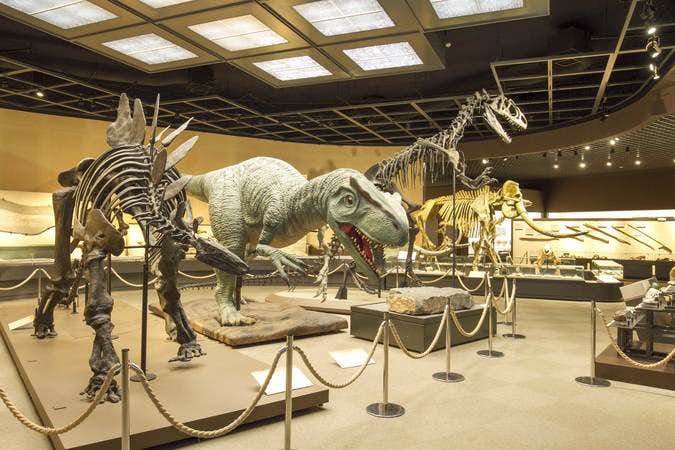 栃木県立博物館 美術手帖