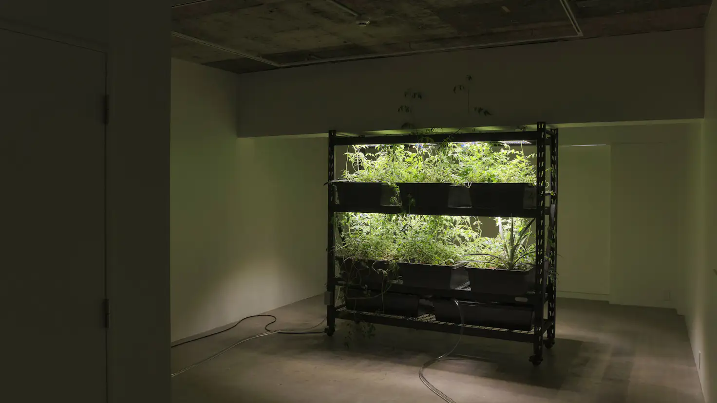 The 5th Floor 美術手帖 The 5th Floor 美術手帖